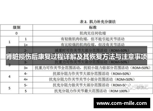 肾脏损伤后康复过程详解及其恢复方法与注意事项 肾脏损伤后康复过程详解及其恢复方法与注意事项