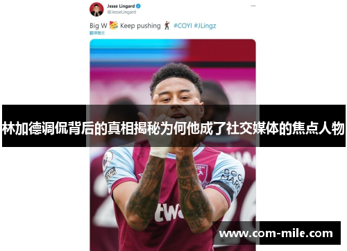 林加德调侃背后的真相揭秘为何他成了社交媒体的焦点人物