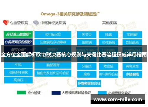 全方位全面解析欧协联决赛核心规则与关键比赛流程权威详尽指南 全方位全面解析欧协联决赛核心规则与关键比赛流程权威详尽指南