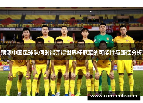 预测中国足球队何时能夺得世界杯冠军的可能性与路径分析