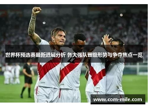 世界杯预选赛最新进展分析 各大强队晋级形势与争夺焦点一览